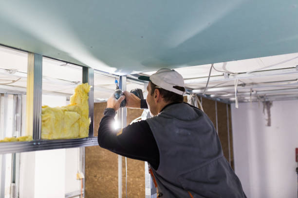 Best Local Insulation Services  in Columbia, MD