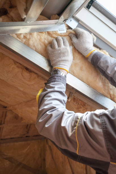 Best Home Insulation Services  in Columbia, MD