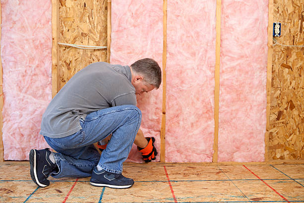 Best Insulation Replacement Services  in Columbia, MD